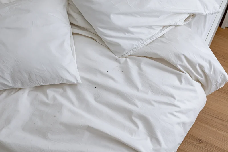 Unmade bed with white cotton sheets and pillows, showing wrinkles and small stains, viewed from above in a bedroom