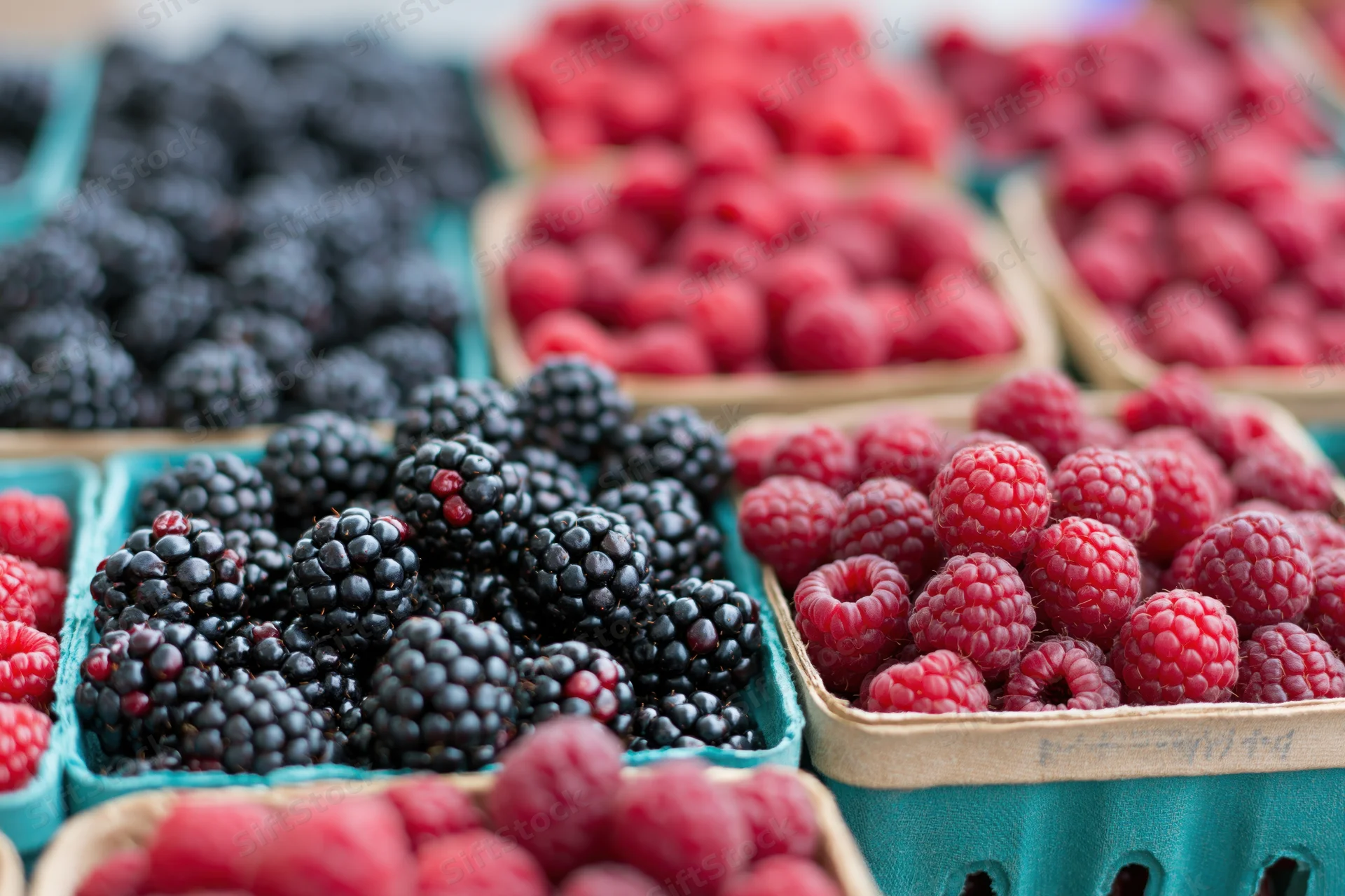 Rows of fresh blackberries and raspberries in teal baskets at a market stall