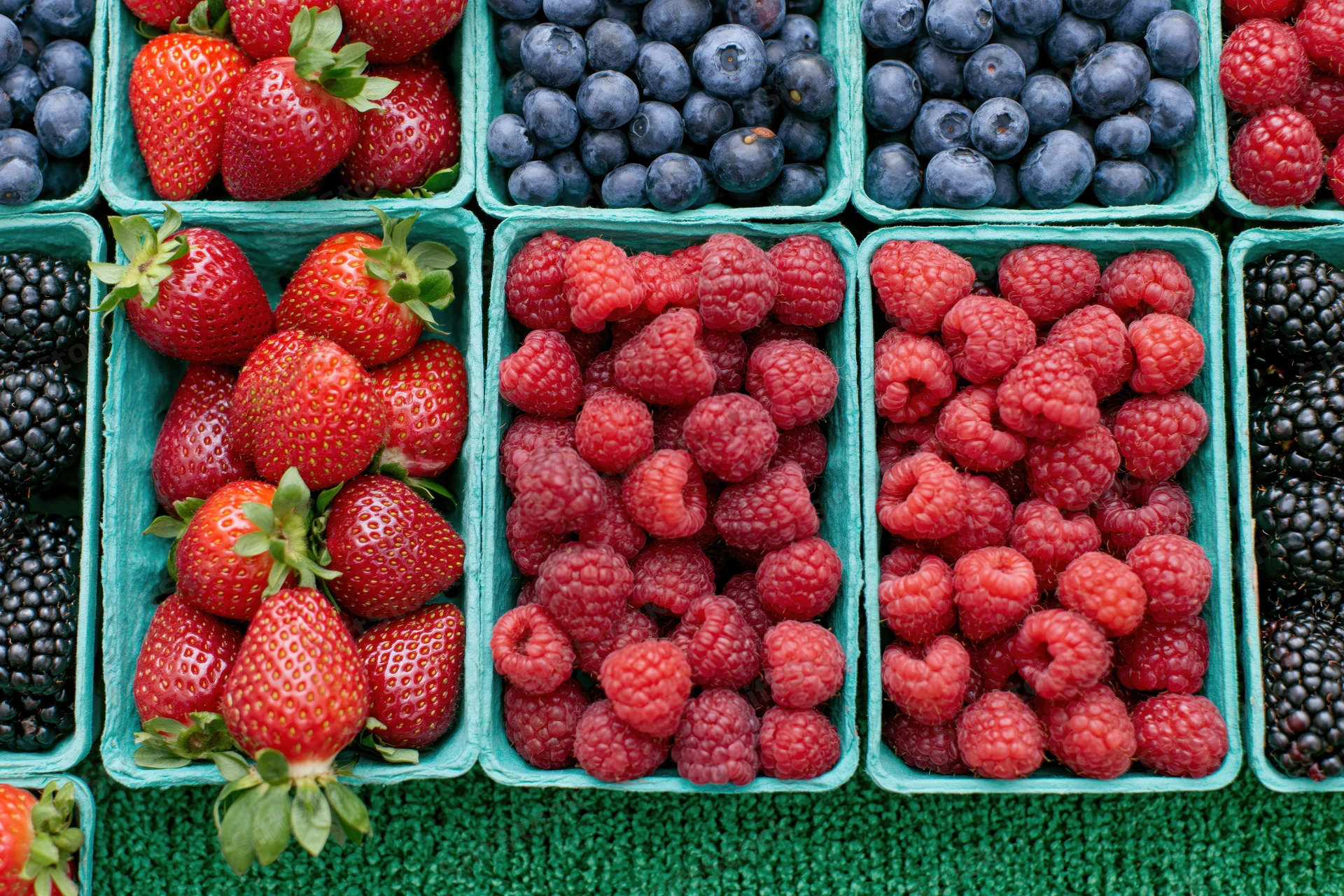 Rows of fresh strawberries, blueberries, raspberries and blackberries in green cartons on a green surface