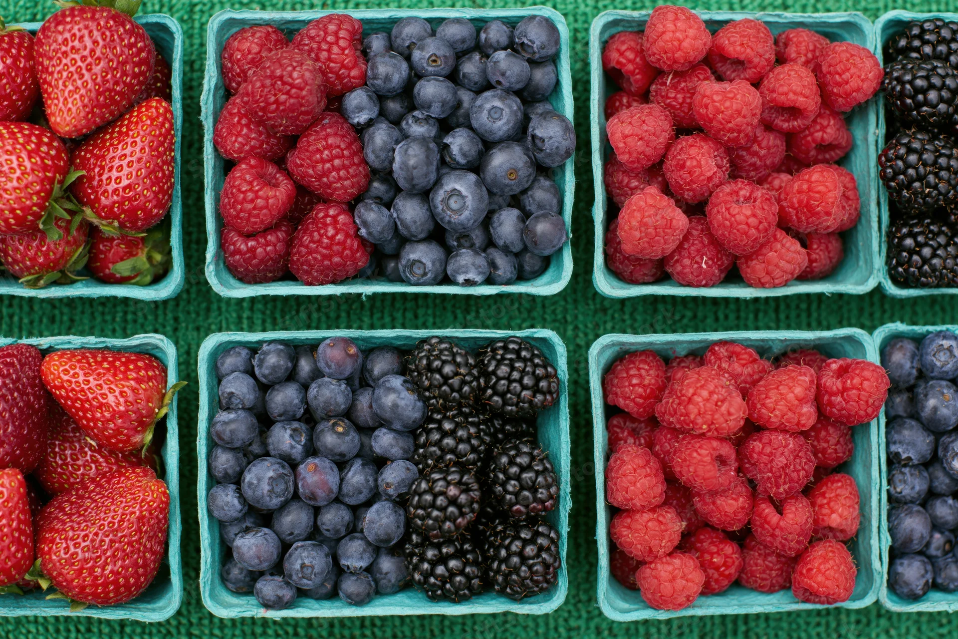 Rows of fresh strawberries, blueberries, raspberries and blackberries in green cartons on a green surface