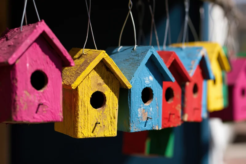 Colorful wooden birdhouses hanging in a row outdoors