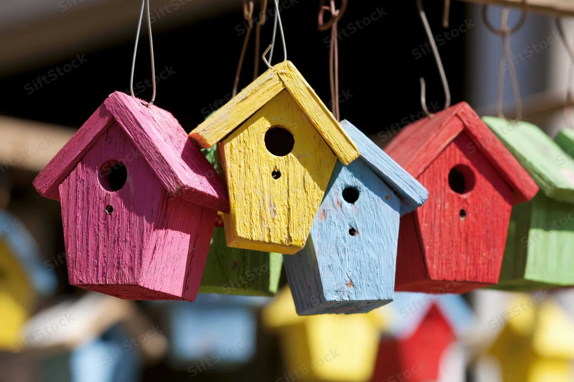 Colorful wooden birdhouses hanging from wire hooks in a garden display