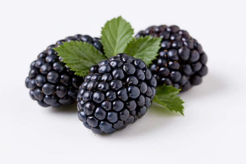 Three ripe blackberries with green leaves arranged on a white surface