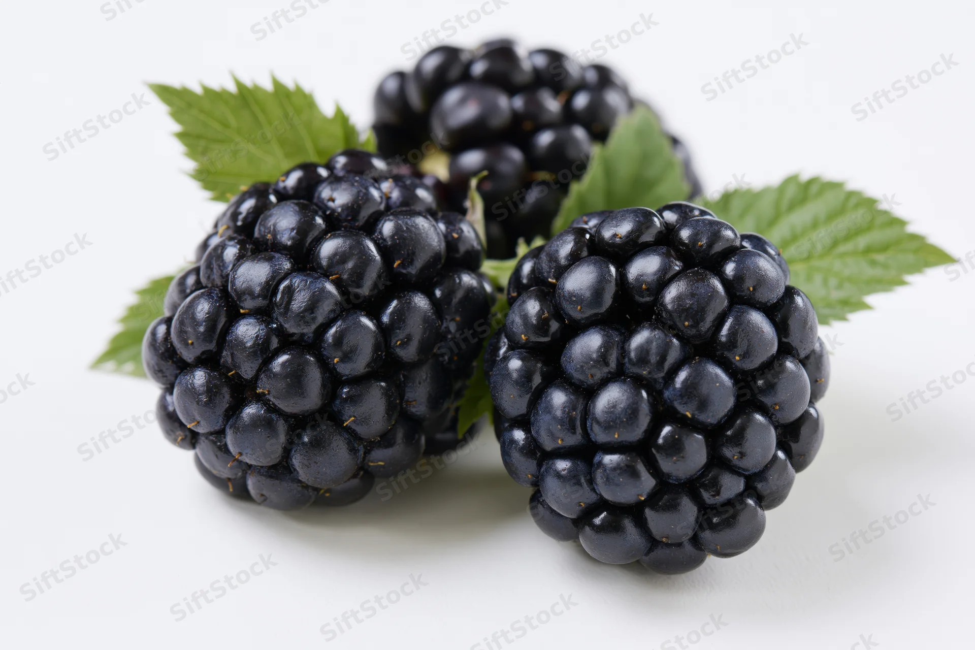 Three ripe blackberries with green leaves arranged on a white surface