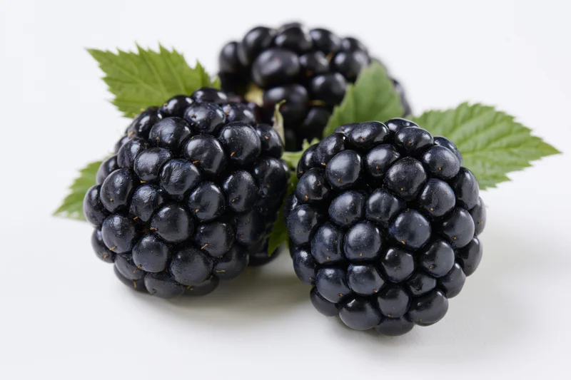 Three ripe blackberries with green leaves arranged on a white surface