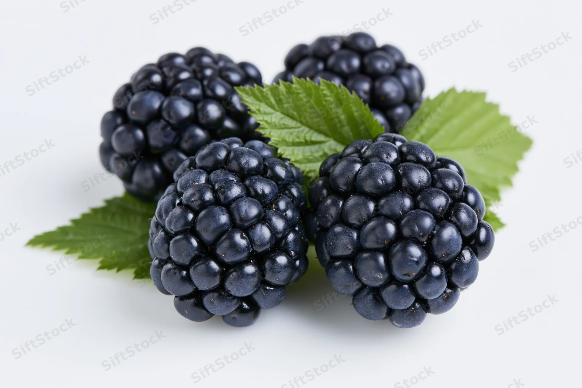 Four ripe blackberries with green leaves arranged on a white surface