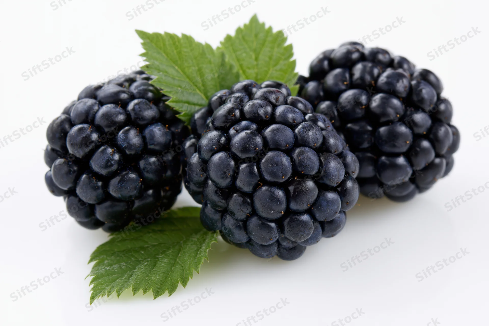 Three ripe blackberries with green leaves arranged on a white surface