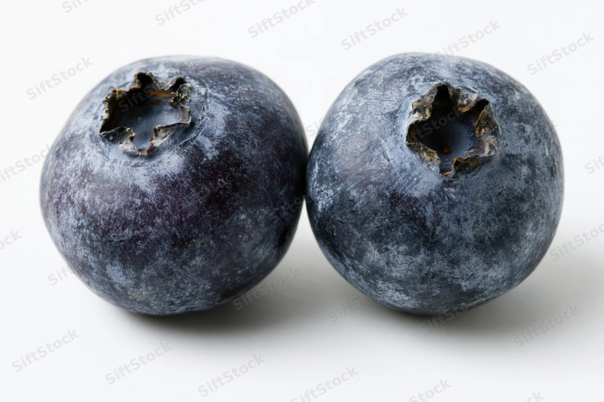Two fresh blueberries side by side in extreme close-up macro view on white background