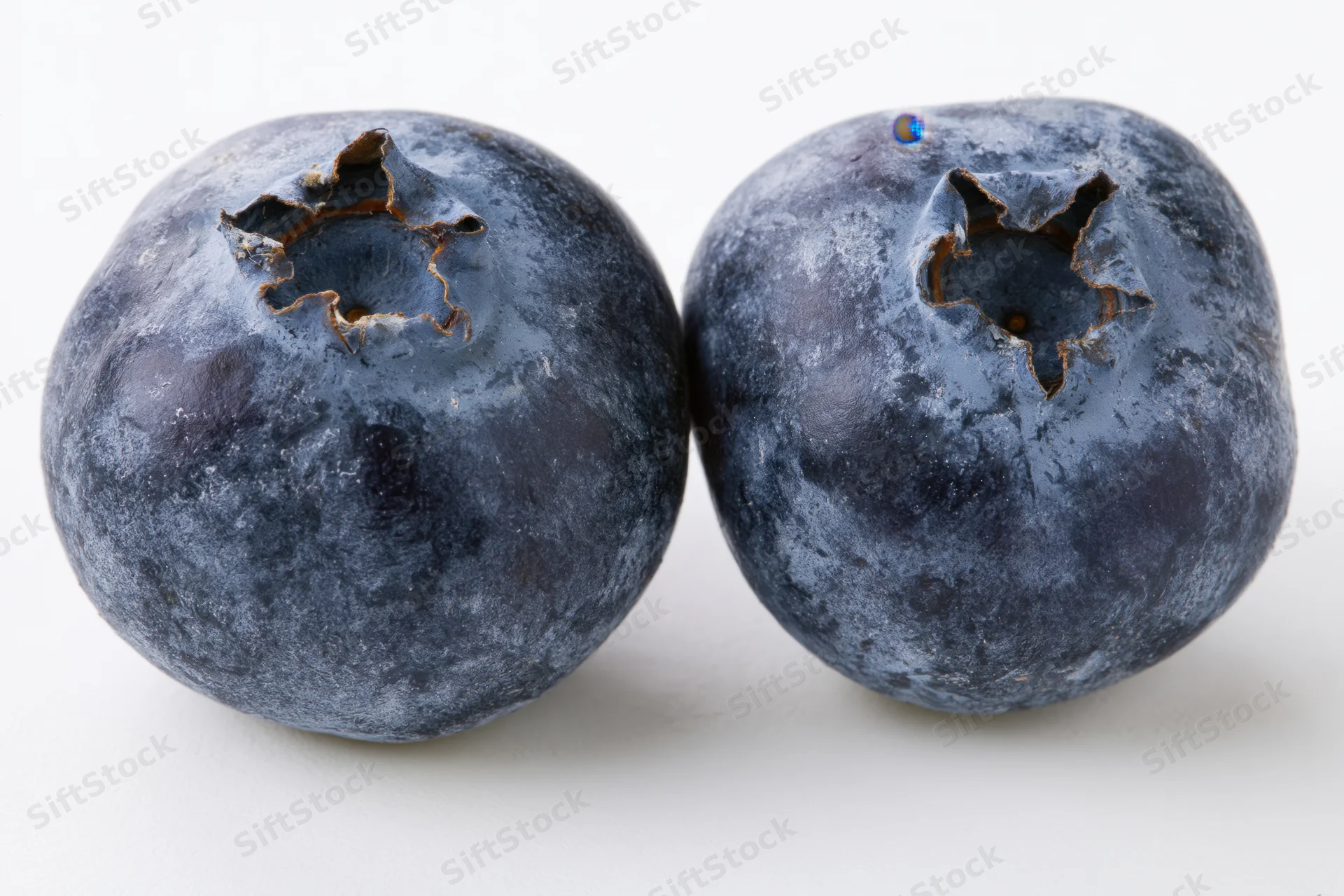 Two fresh blueberries side by side in extreme closeup on white background