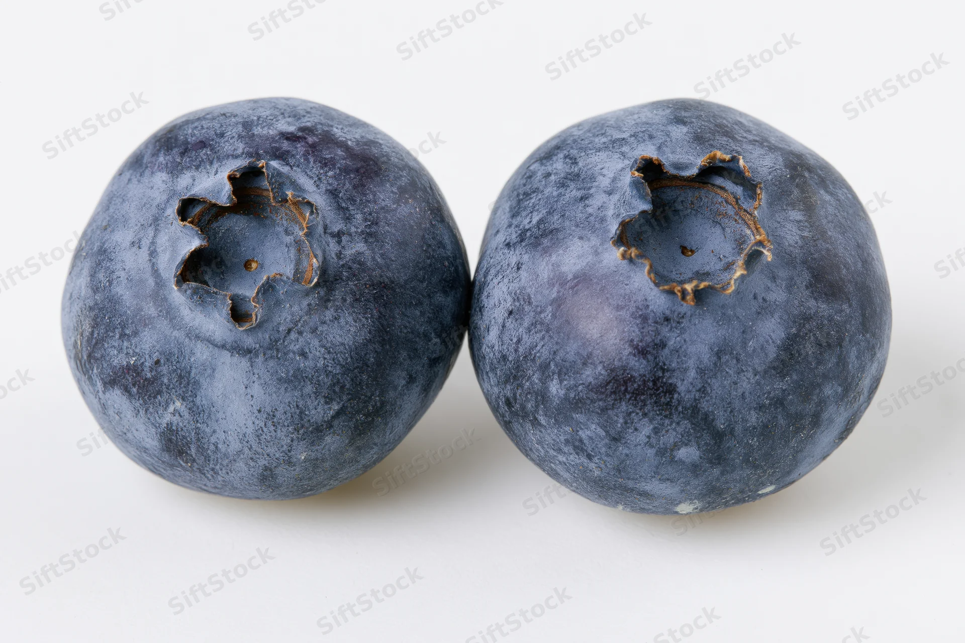 Two fresh blueberries side by side in extreme close-up macro view on white background