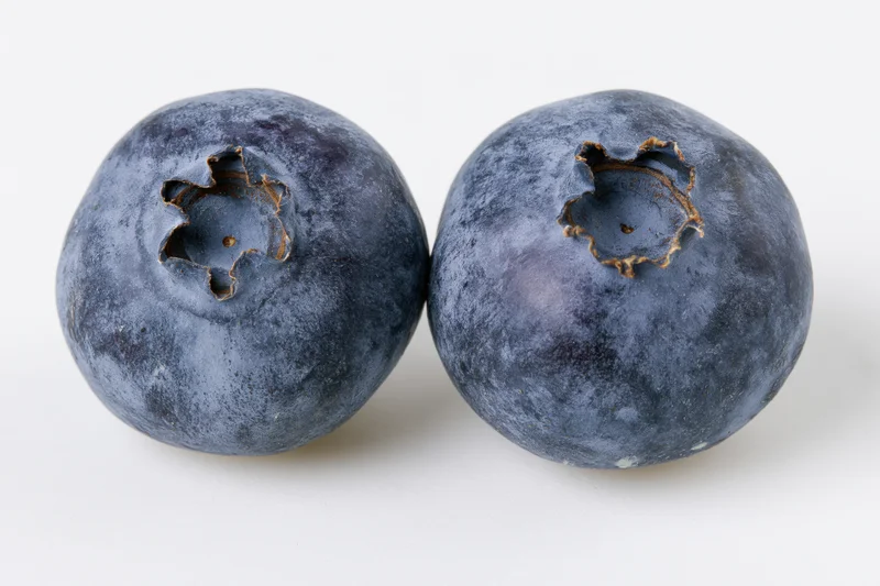 Two fresh blueberries side by side in extreme close-up macro view on white background