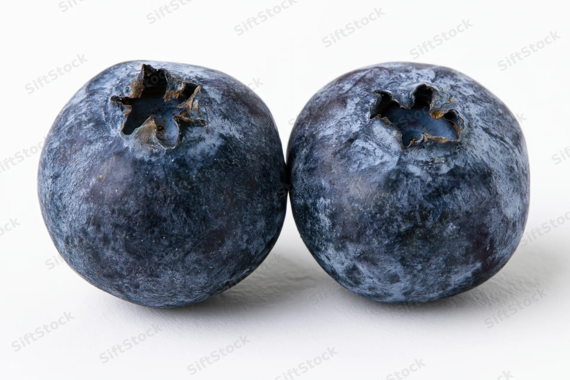 Two fresh blueberries side by side in extreme closeup on white background