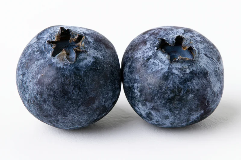 Two fresh blueberries side by side in extreme closeup on white background
