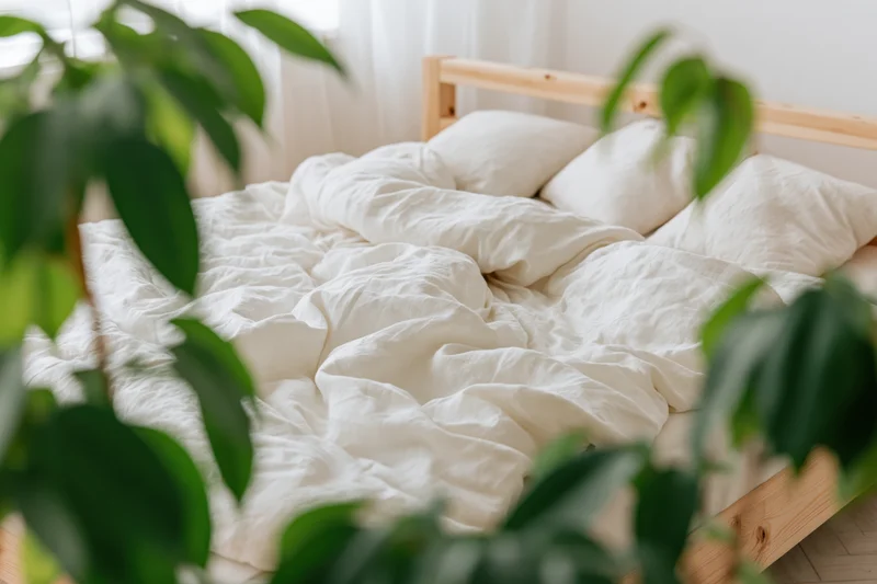 Unmade double bed with rumpled white linen duvet and four pillows in a bright bedroom framed by green leaves in foreground