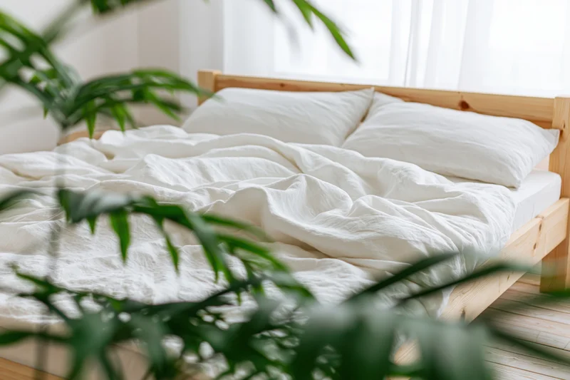 Unmade double bed with rumpled white linen duvet and wooden frame in a bright bedroom with green plant in foreground