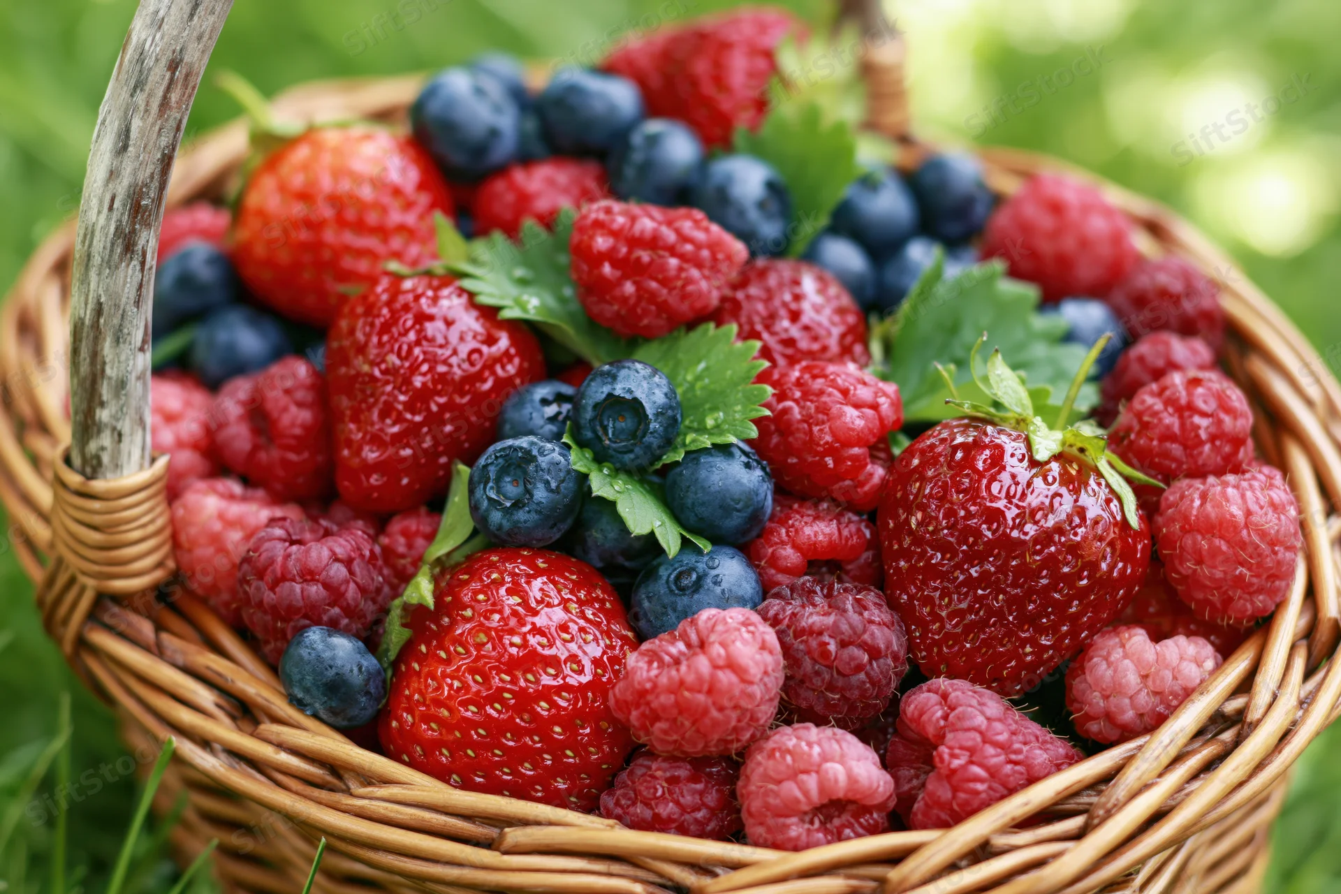 Wicker basket filled with fresh strawberries blueberries and raspberries on grass in garden