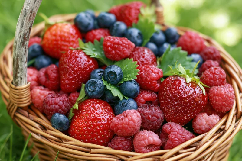 Wicker basket filled with fresh strawberries blueberries and raspberries on grass in garden