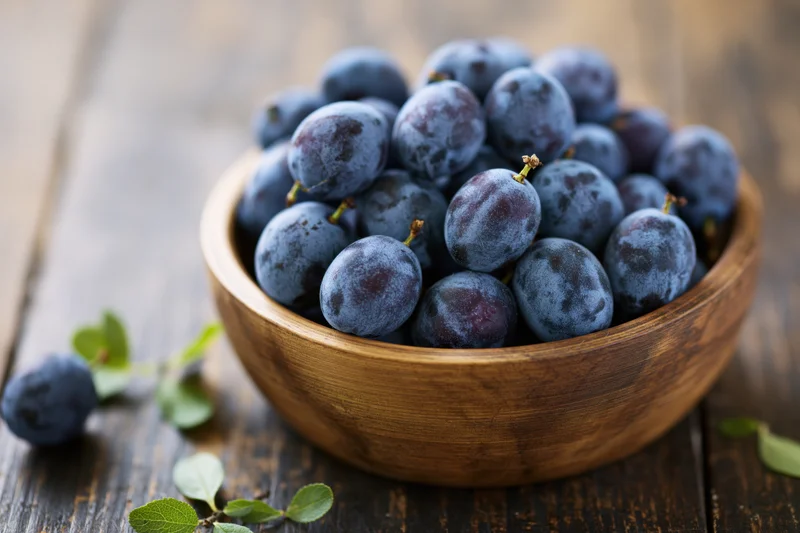Wooden bowl filled with fresh sloe berries on a rustic wooden table