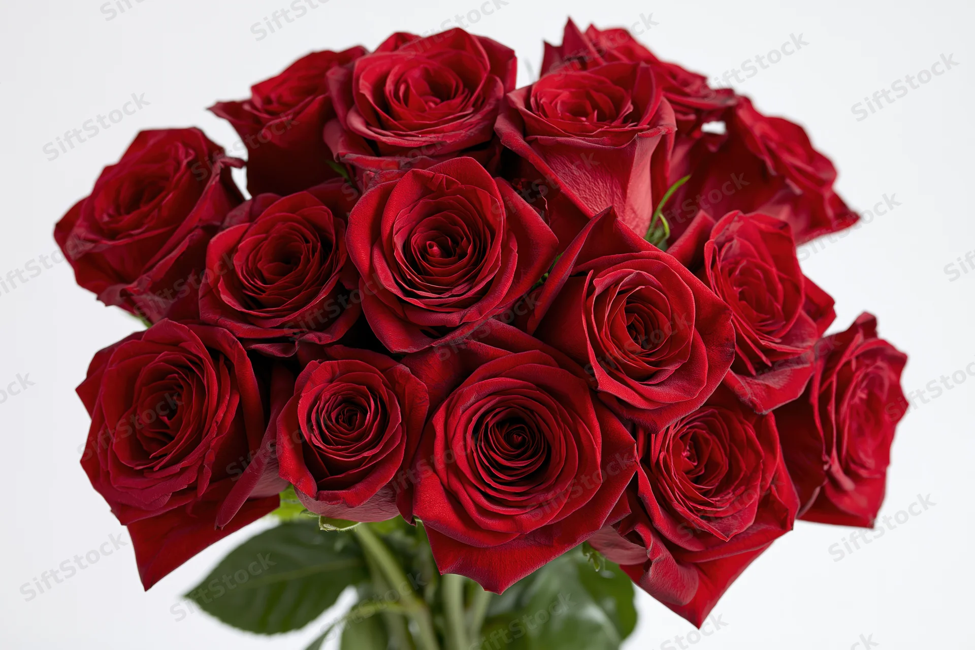 A dozen deep red roses arranged in a loose bunch viewed from above against a white background