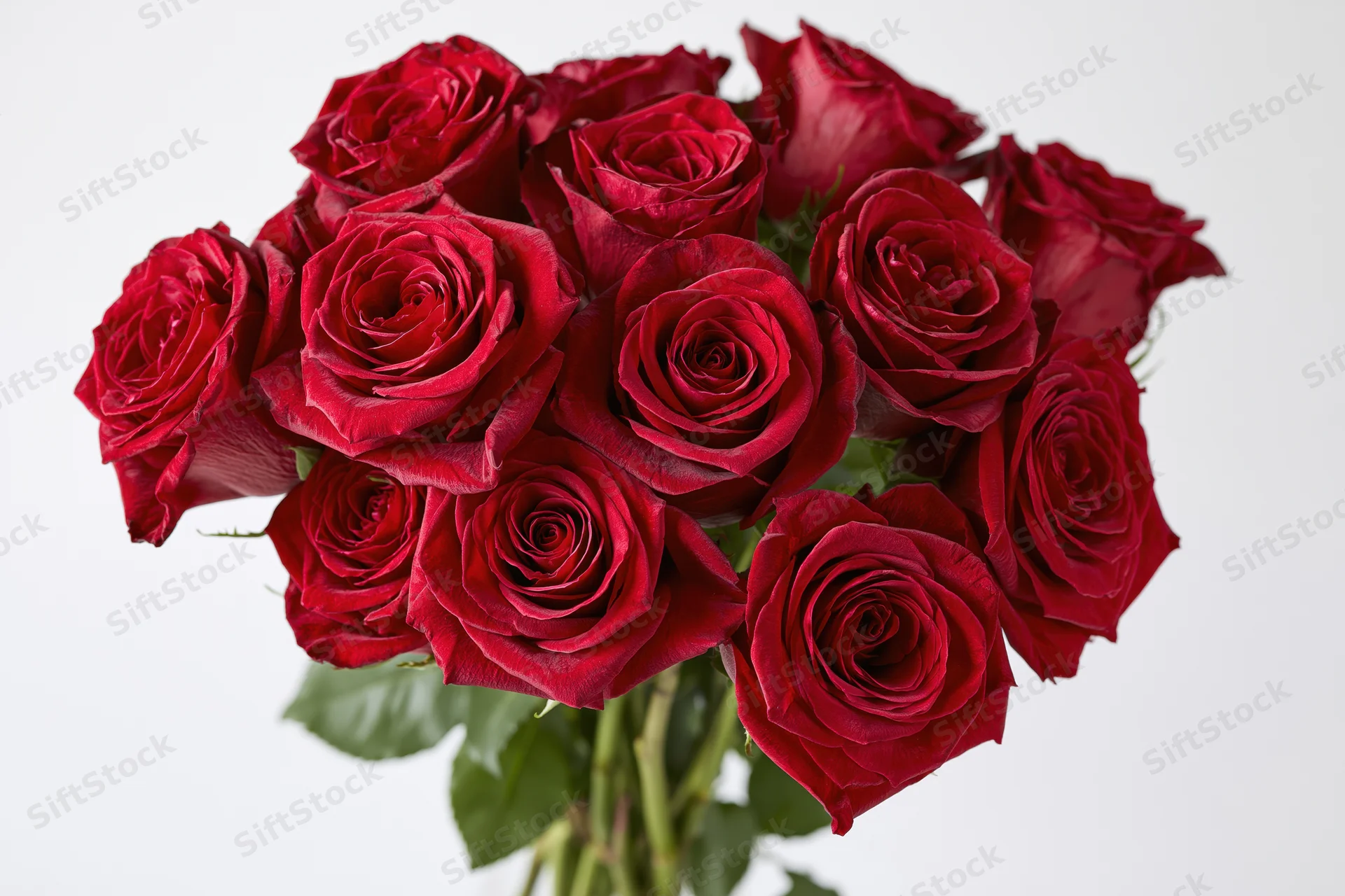A dozen deep red roses arranged in a loose bunch viewed from above against a white background