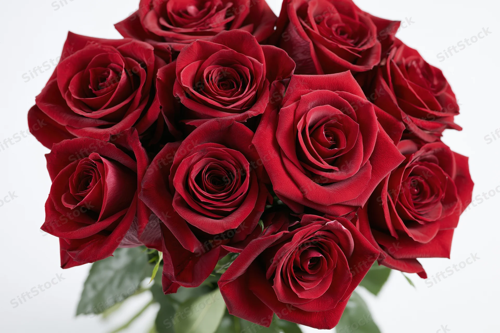 A loose bunch of deep red roses arranged in a closeup view with green stems and leaves against white background