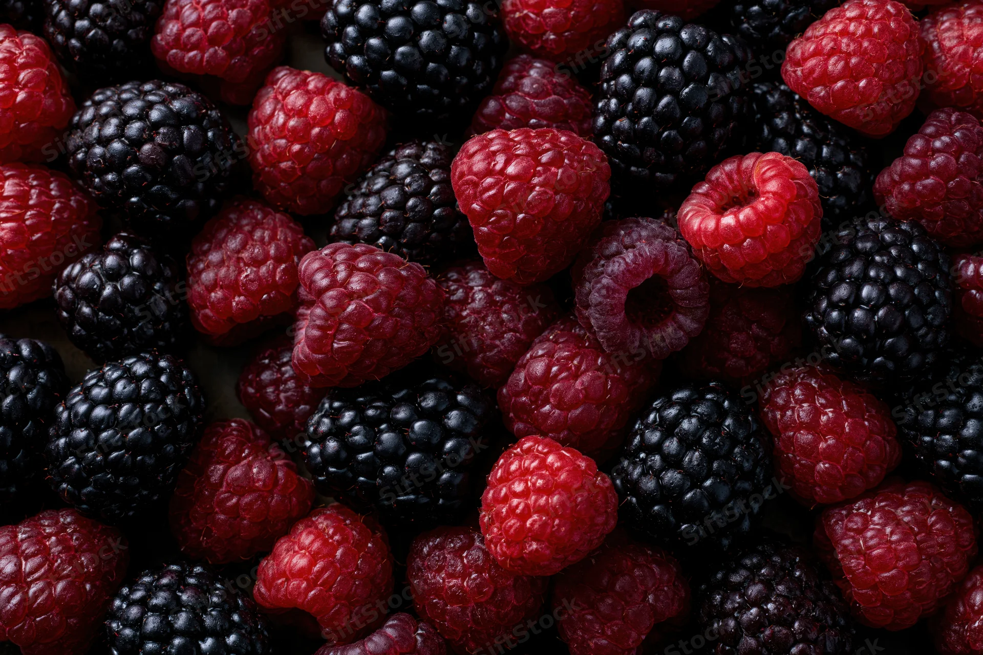 Closeup of fresh raspberries and blackberries scattered in a flat lay arrangement