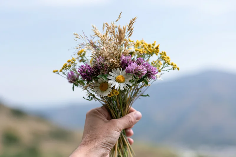 Hand holding a loose wildflower bouquet with daisies and purple blooms against a mountain backdrop