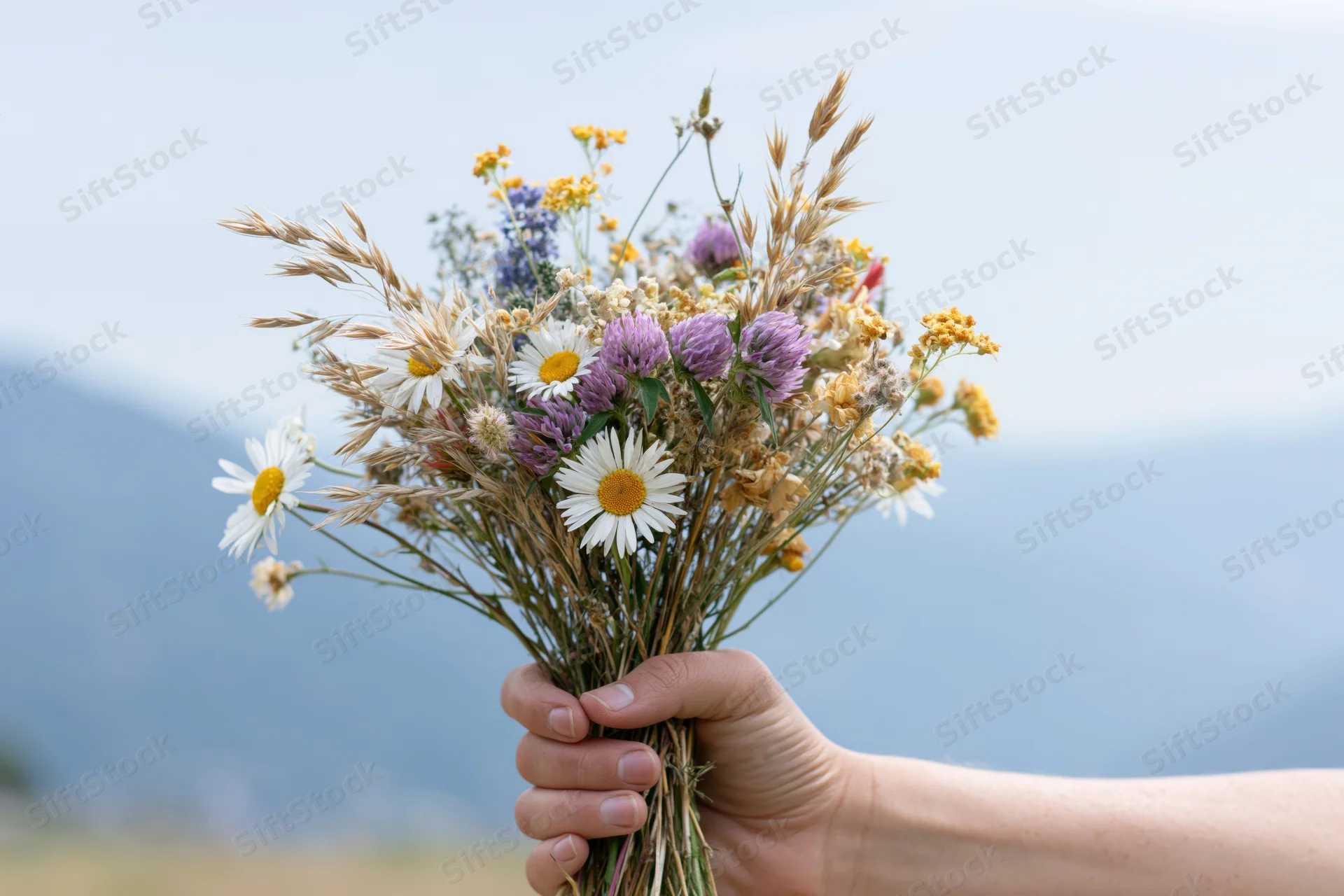Hand holding a loose wildflower bouquet with daisies and lavender against a mountain backdrop