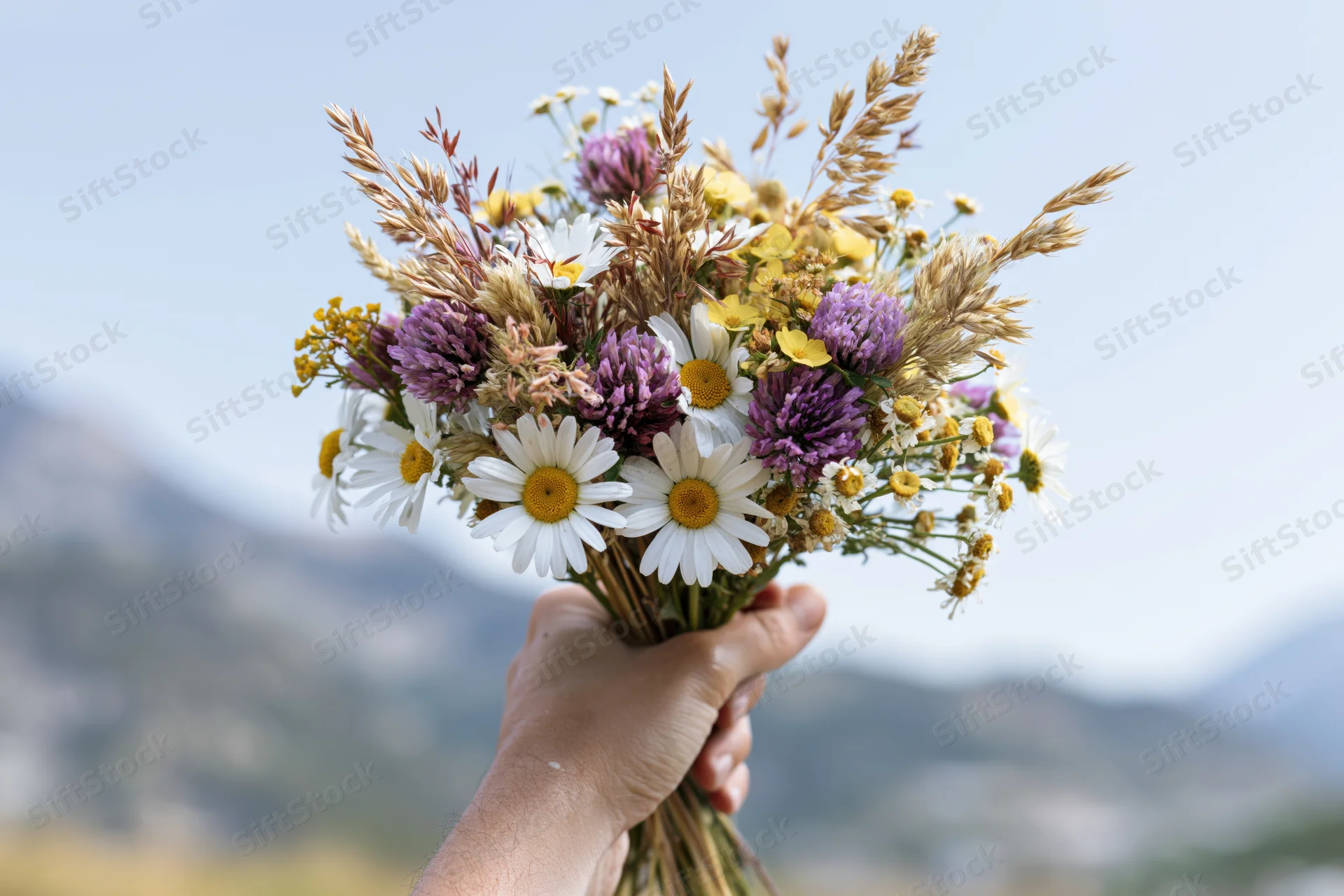 Hand holding a loose wildflower bouquet with daisies and purple blooms against a mountain backdrop