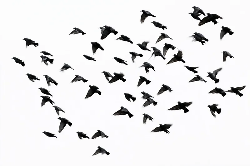 Silhouetted birds in mid-flight against a white sky