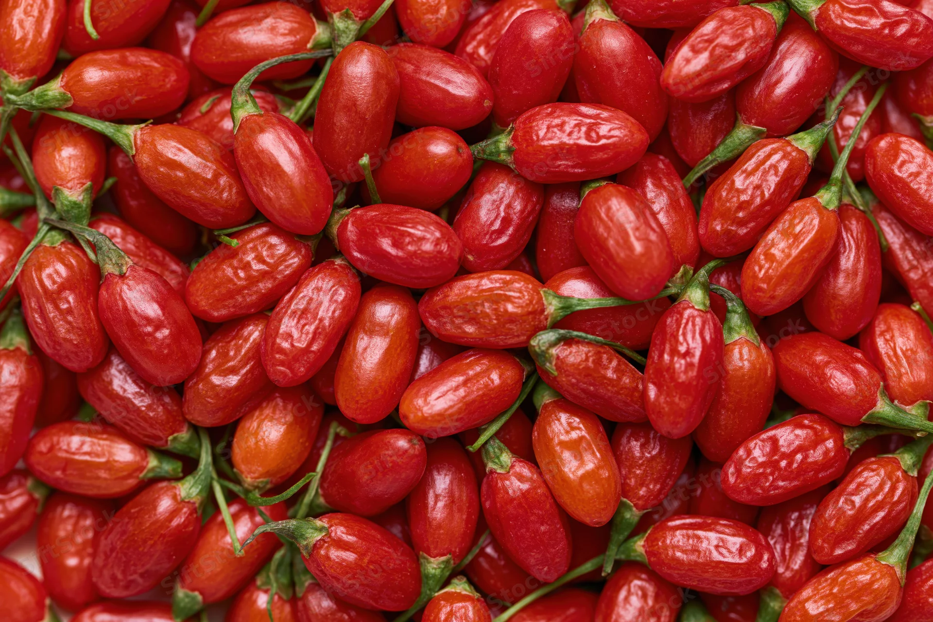 Closeup of fresh red goji berries piled together filling the frame