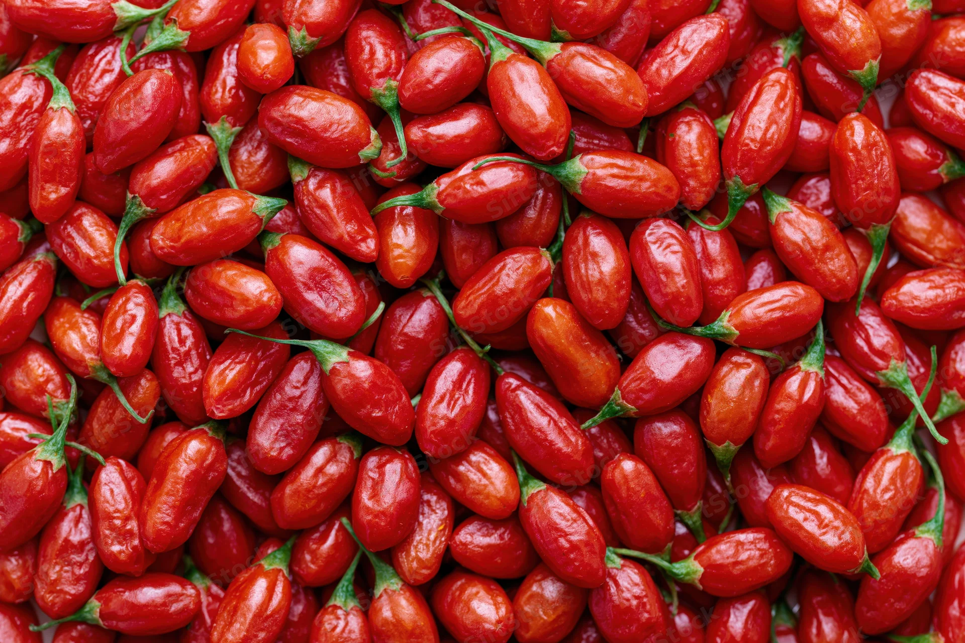 Closeup of fresh red goji berries piled together filling the frame
