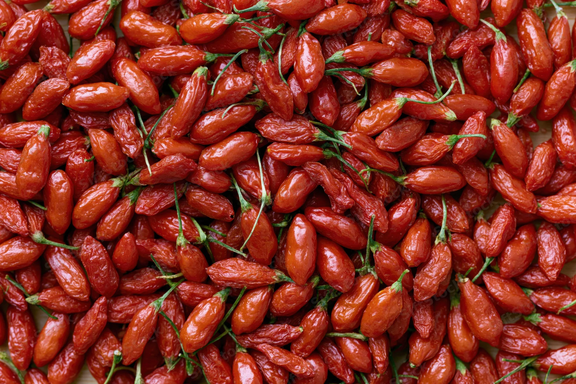 Large pile of fresh goji berries filling the entire frame