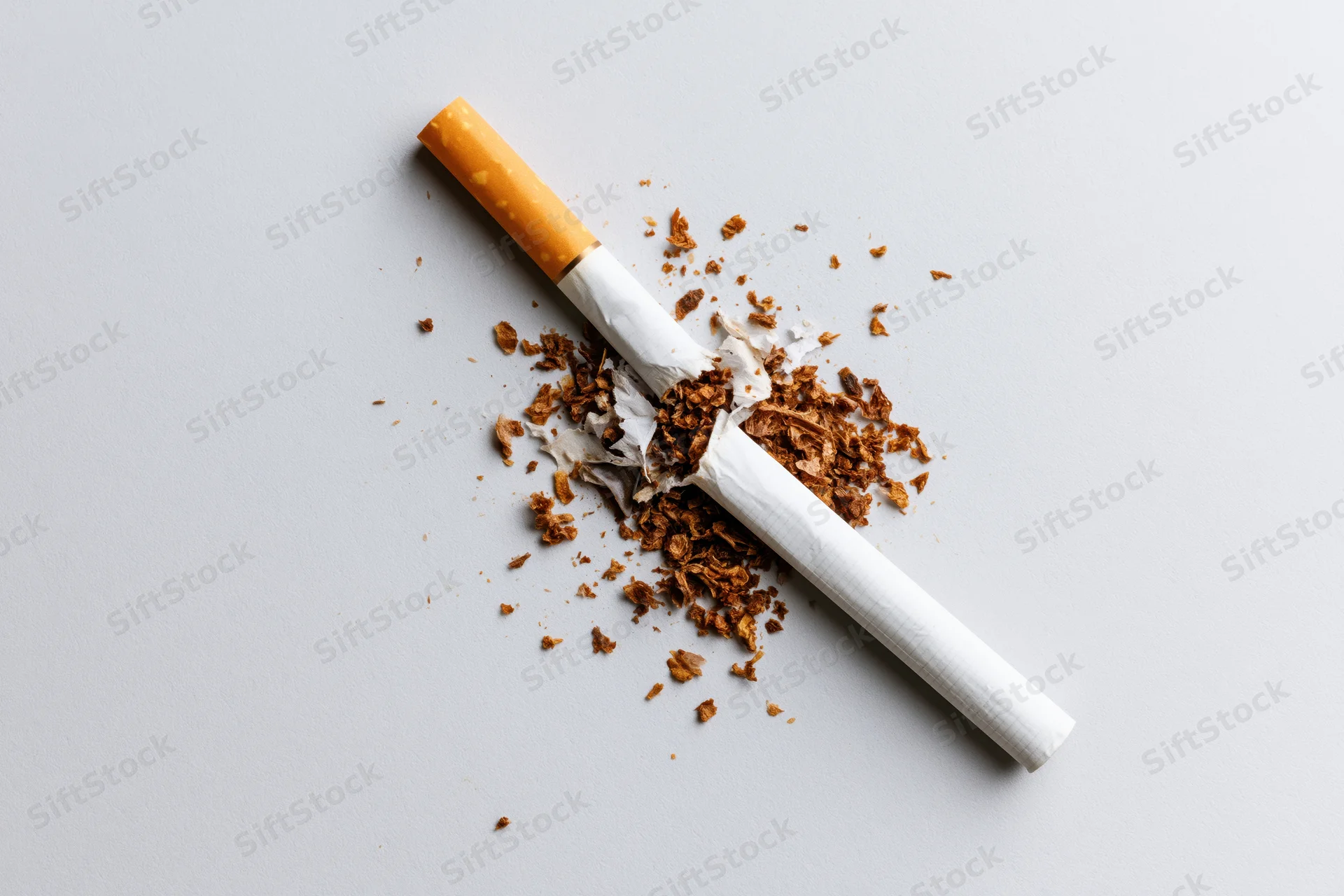 Broken cigarette with crushed tobacco scattered on a plain surface