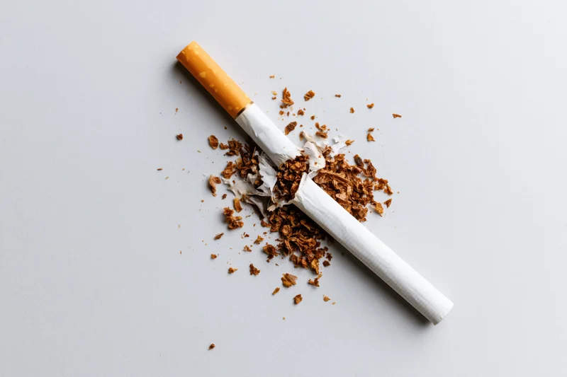 Broken cigarette with crushed tobacco scattered on a plain surface