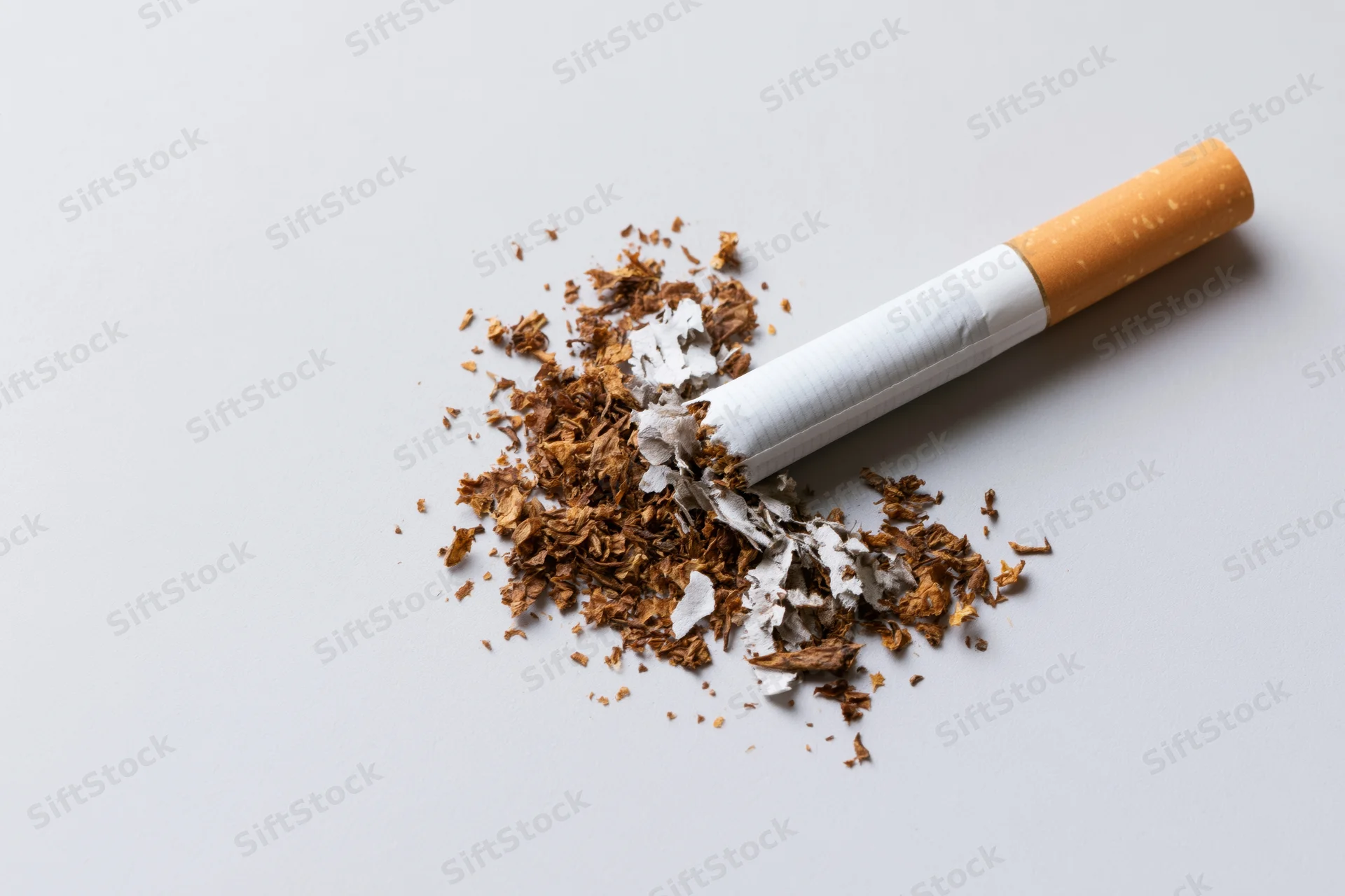 Broken cigarette with crushed tobacco on white surface