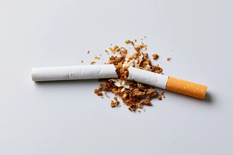 Broken cigarette with crumbled tobacco on white surface