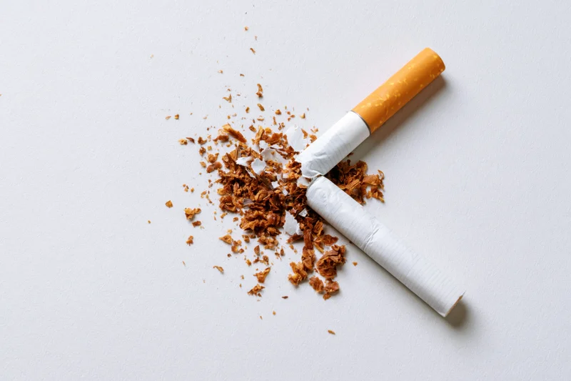 Broken cigarette with crushed tobacco on white surface