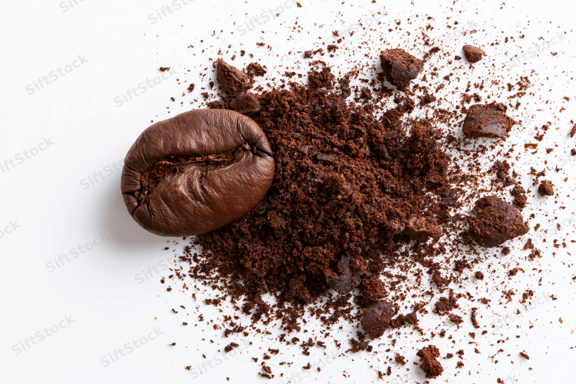 Roasted coffee bean beside a pile of ground coffee on white background