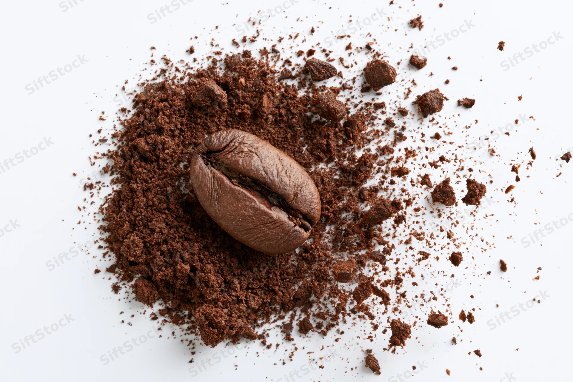 Roasted coffee bean resting on a pile of ground coffee against a white background