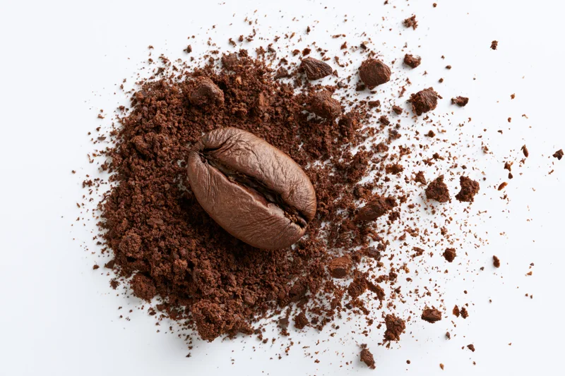 Roasted coffee bean resting on a pile of ground coffee against a white background
