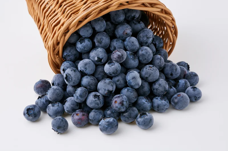 Blueberries spilling from a tipped wicker basket on white background