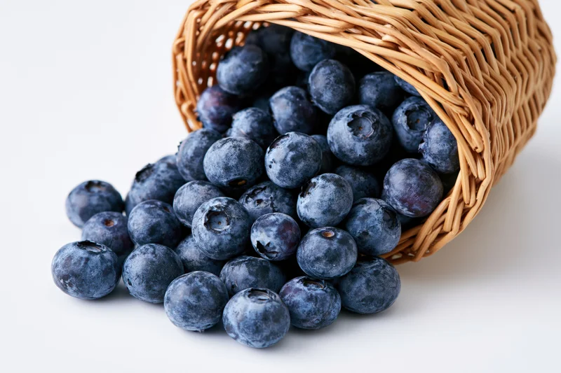 Blueberries spilling from a tipped wicker basket on white background