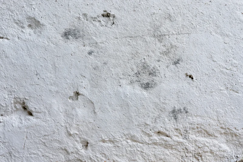 Close-up of a weathered concrete wall surface with cracks and stains