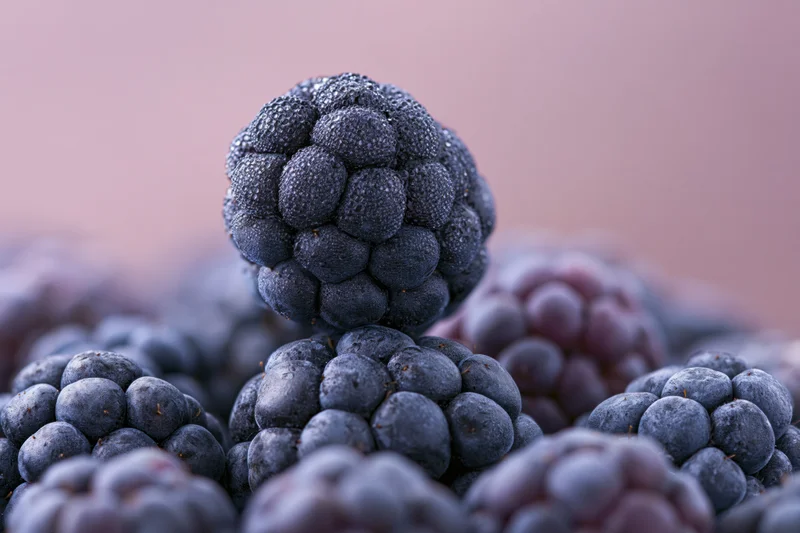 Closeup of a single frozen blackberry resting on a cluster of similar berries against a soft pink background