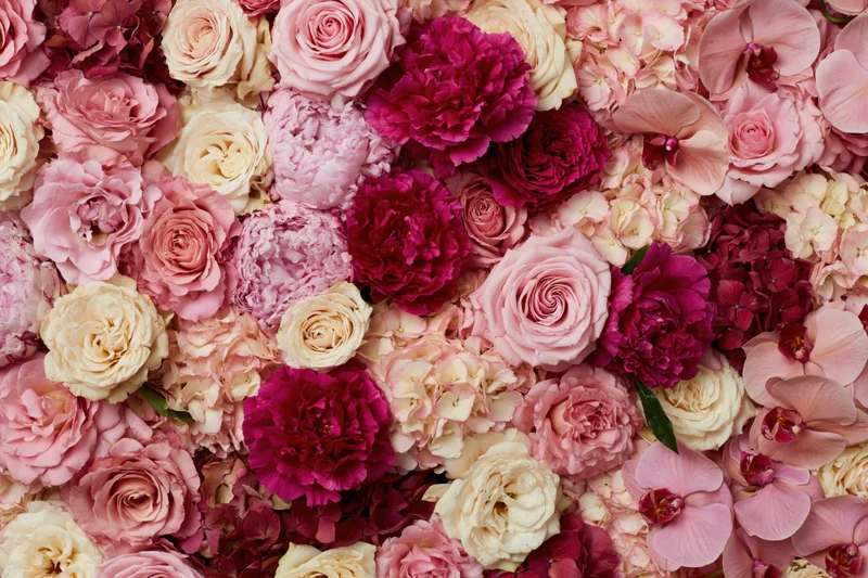Dense floral wall of roses, peonies, orchids and hydrangeas in shades of pink and cream filling the frame