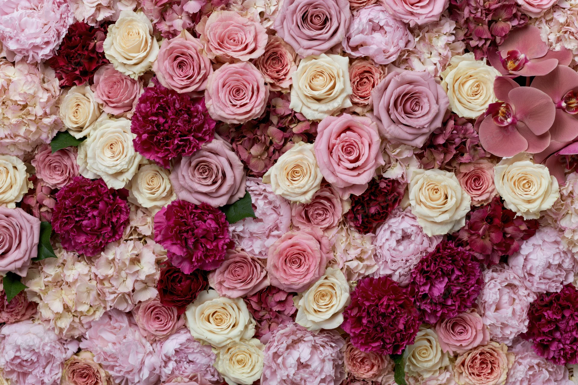 Dense wall of mixed cut flowers including roses, peonies, orchids and hydrangeas in shades of pink, cream and burgundy filling the frame