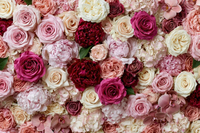 Dense floral wall of roses and peonies in pink, white and red tones filling the frame