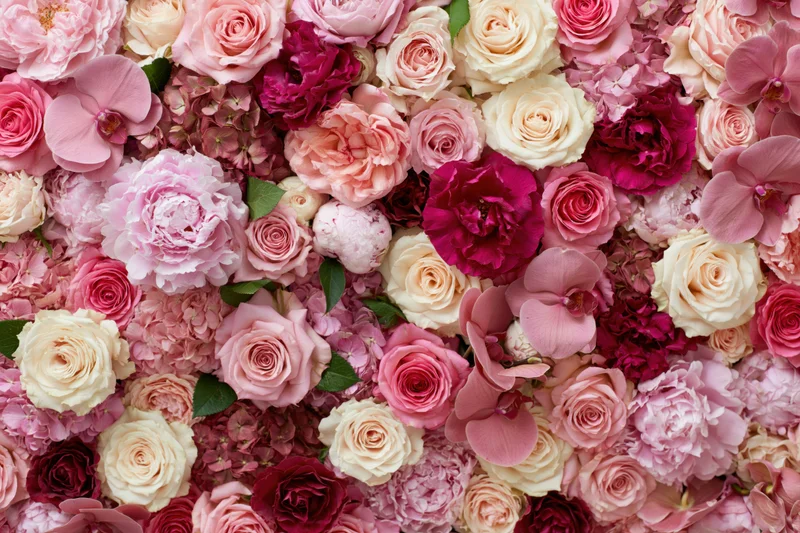 Dense floral wall of pink roses, peonies, orchids and hydrangeas filling the frame