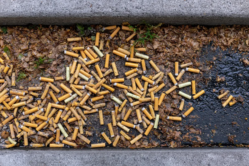 Discarded cigarette butts scattered on a wet urban sidewalk between concrete curbs